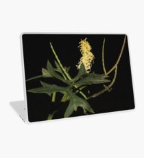 Grevillea flexuosa Laptop Skin