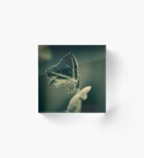 spindle Acrylic Block