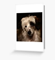 Wong Greeting Card