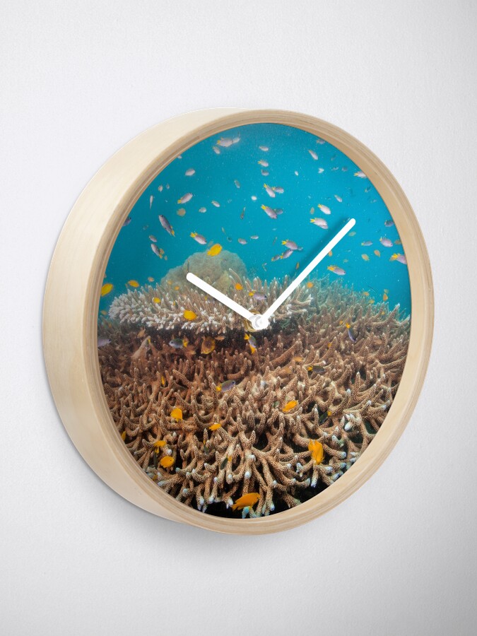 Alternate view of Home in the candelabra Clock