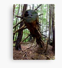 Spiked Tree Trunk, vertical Canvas Print