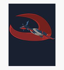PKMN Mega Salamence Photographic Print