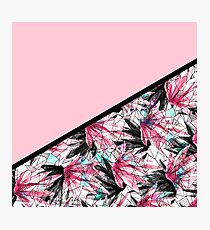 Blush Pink and Teal Abstract Tropical Leaves Photographic Print