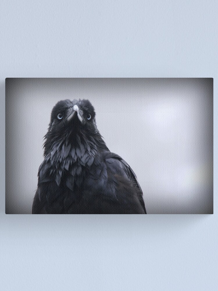 Alternate view of Crow protector Canvas Print