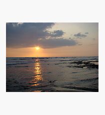 Gazer Photographic Print
