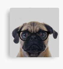 Geek Pug Canvas Print