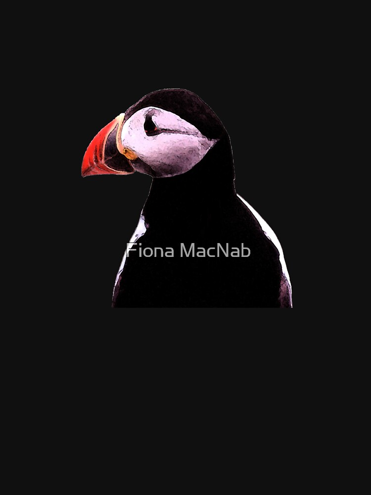 Puffin by orcadia
