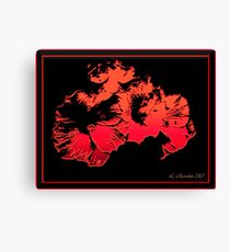Wild Hibiscus Canvas Print