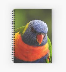 Rainbow Lorikeet Spiral Notebook