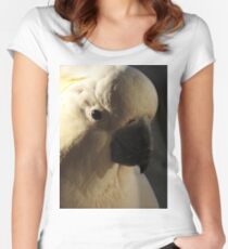 Sulphur Crested Cockatoo Women's Fitted Scoop T-Shirt