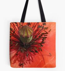 Gingerbread House. Tote Bag