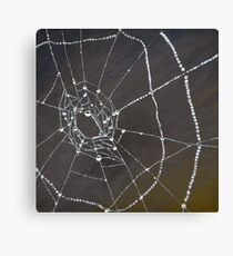 Web Canvas Print