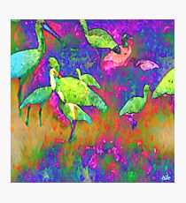 Bird Watch Photographic Print