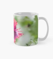 Poppycock! Mug