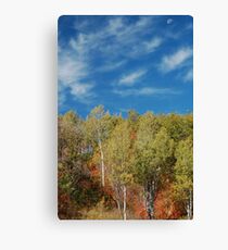 Heaven and Earth Canvas Print