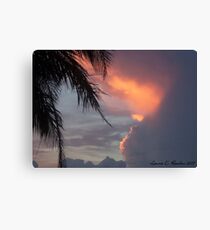 Florida Sky Canvas Print
