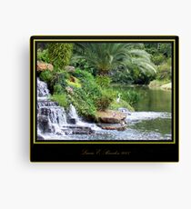 Elusive Bird Canvas Print