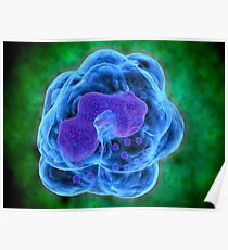Begriffsbild von Basophils. Poster