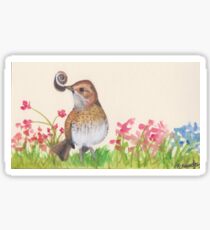 Wren Sticker