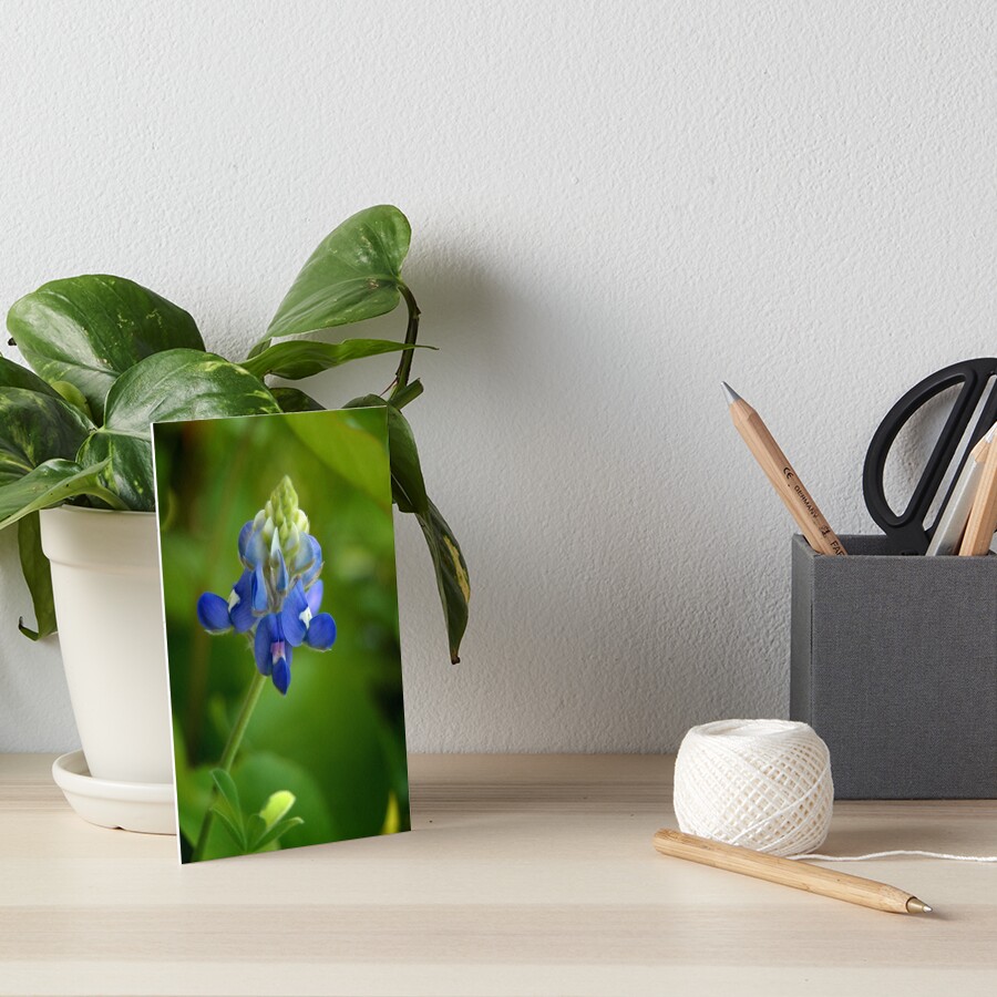 Texas Bluebonnet Art Board Print