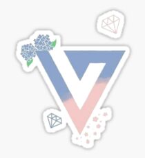 Seventeen Group Stickers Redbubble