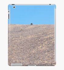 Lonely iPad Case/Skin