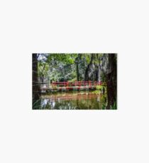 Magnolia Plantation Crossing Art Board