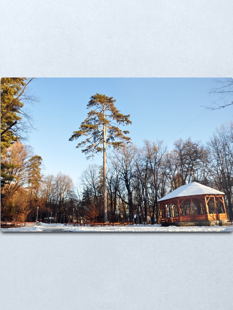 Alternate view of Winter tale Metal Print