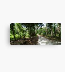 enchanted walk Canvas Print