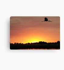 Bye Bye bird Canvas Print
