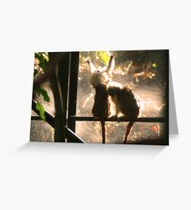 Fame, I want to... don't push me you egg! Greeting Card
