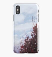 Lens Flare iPhone Case/Skin