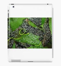 Dew drops! iPad Case/Skin