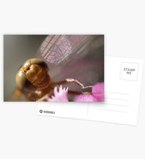 Lit from within Postcards