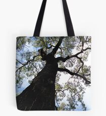 Eucalypt Tote Bag