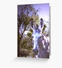 OLD JACK Greeting Card