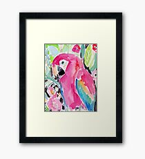 SCARLET THE MACAW Framed Print
