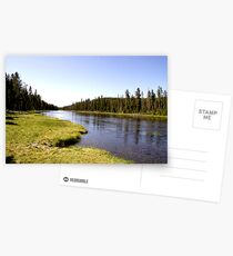 yellowstone river Postcards