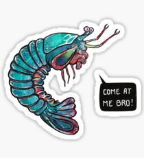 Come At Me Bro! Sticker