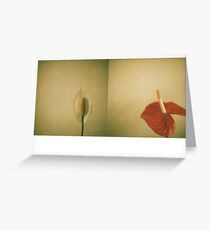 still III Greeting Card