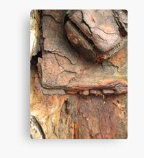 Rust Stained. Canvas Print
