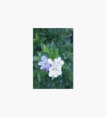 flower blossoms in nature Art Board