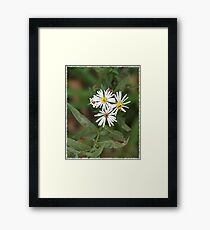 Flowers Framed Print