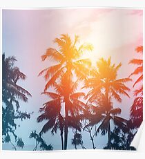 Beach sunset at the coast line Poster