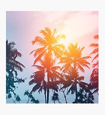 Beach sunset at the coast line Photographic Print