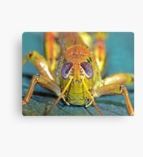 Grasshopper 1 ! Canvas Print