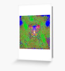 Polar aurora cat Greeting Card