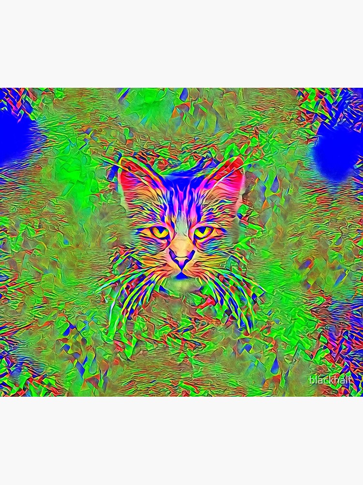 Polar aurora cat by blackhalt