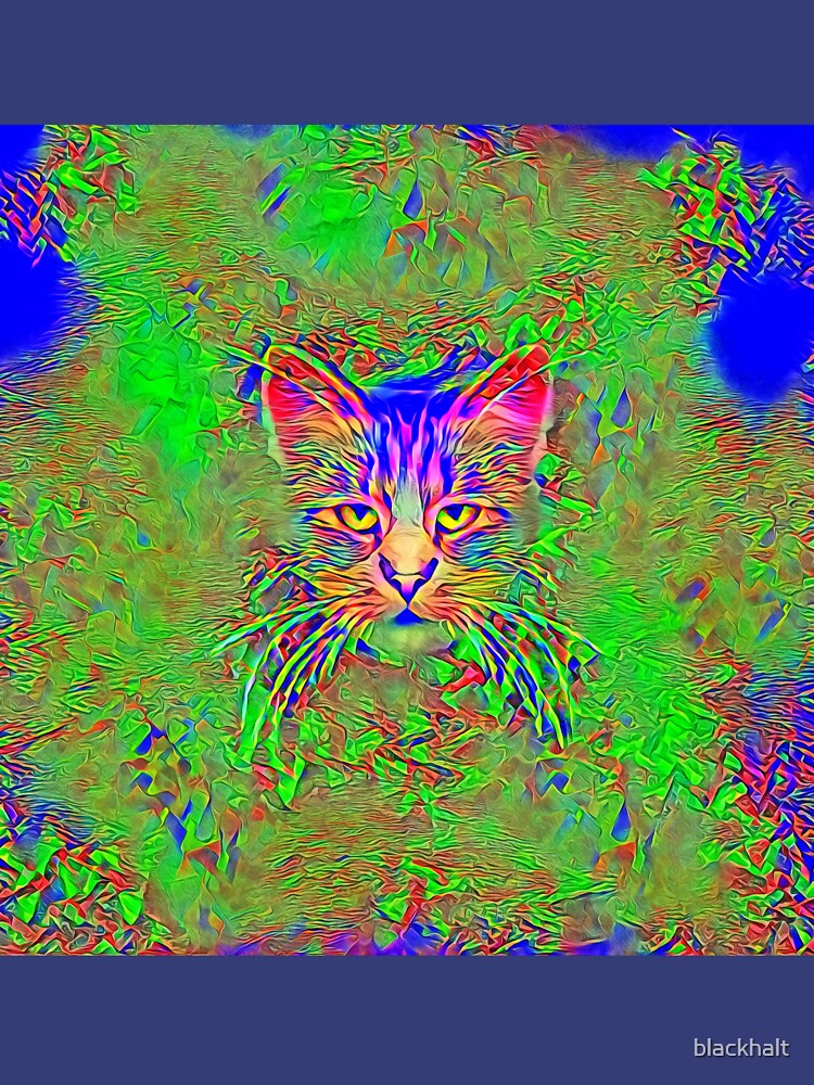 Polar aurora cat by blackhalt