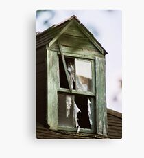 Watching windows...... Canvas Print